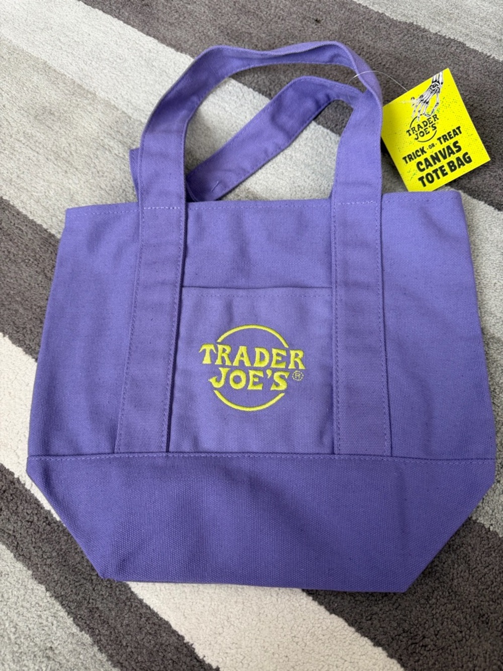 Purple Canvas Mini Tote Bag
